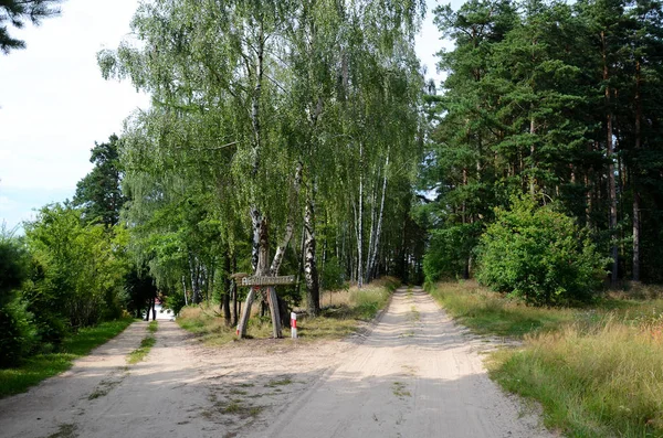 Sandiga Vägen Skogen — Stockfoto