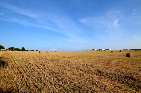 Campo Com Fardos Palha — Fotografia de Stock