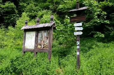Hiking trail Ojcowski Milli Parkı'nda işaretleme