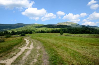 Dağlar Polonya (Bieszczady) - Tarnica görünümünü