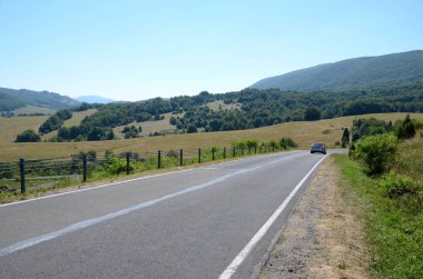 Yol (Polonya Bieszczady dağlarında)