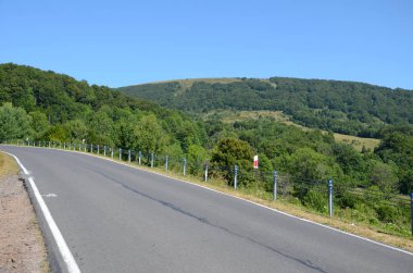 Yol (Polonya Bieszczady dağlarında)