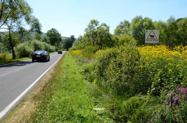 Polonya (bieszczady dağlar)
