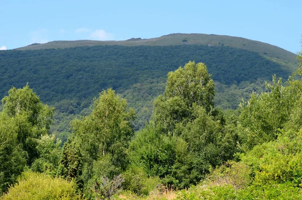 Bergen Polen Bieszczady — Stockfoto