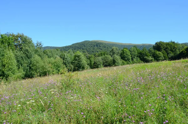 Polonya Bieszczady Dağlar — Stok fotoğraf