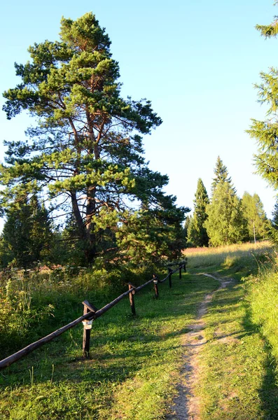 Sendero Montaña Bieszczady Polonia — Foto de Stock