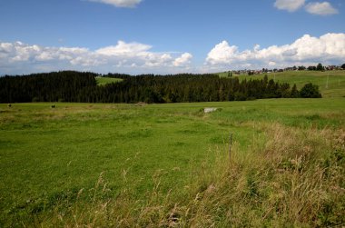 Çayır (Polonya Tatra Dağları)