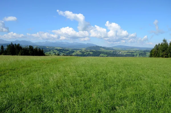 Louka Horách Tatra Polsko — Stock fotografie