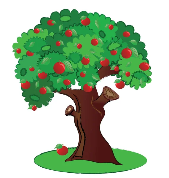 Colors apple tree — Stock Vector