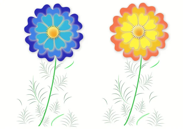 Two Colorful Flowers Objects White Isolated Vector — Stock Vector