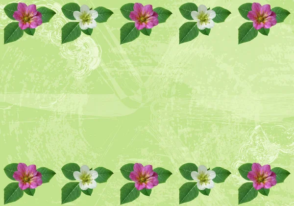 Fondo Floral Primavera Verano Con Espacio Vacío Sobre Fondo Verde — Foto de Stock