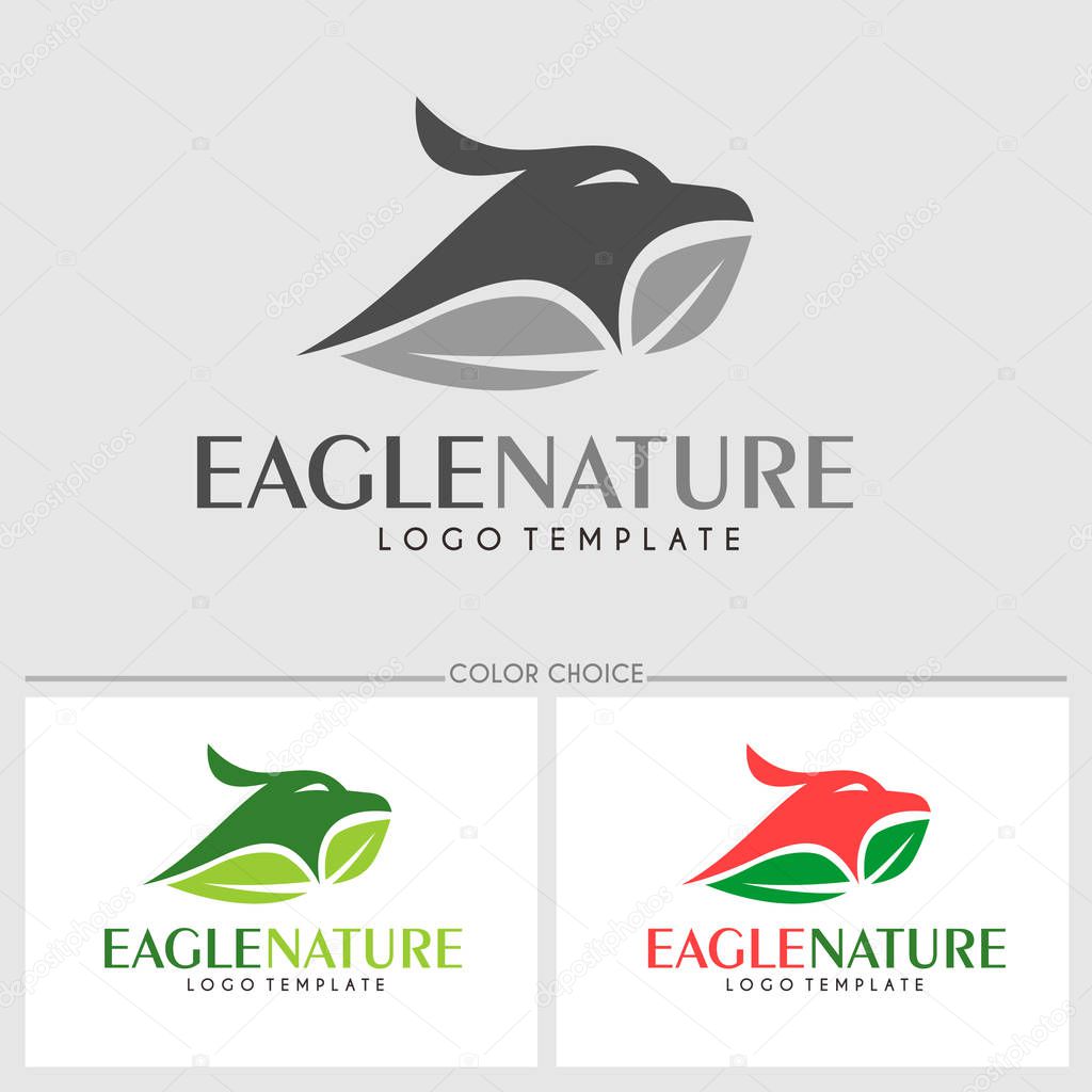 Falcon Brand logo template. Vector illustration.