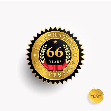 66 yıl yıldönümü logosu