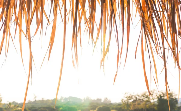 Telhado Grama Seca Fundo Fazenda Rural Conceito Férias Verão Casa — Fotografia de Stock