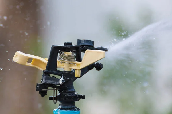 Wasserspringer im Garten und Bokeh. — Stockfoto