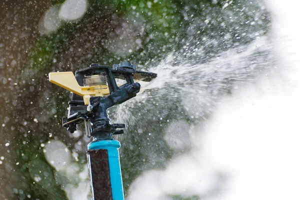 Wasserspringer im Garten und Bokeh. — Stockfoto