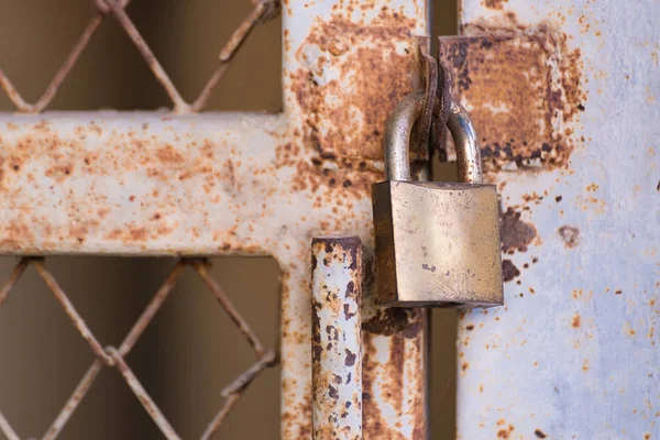 Closed metal lock door security protection padlock. — Stock Photo, Image