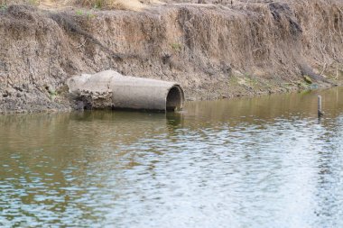 Eski beton drenaj suda balık çiftlikleri.