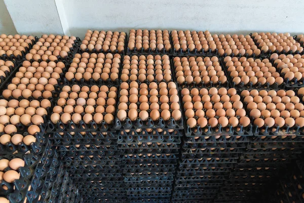 Яйця з курячої ферми в упаковці, яка збереглася для продажу . — стокове фото