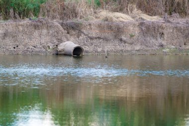 Eski beton drenaj suda balık çiftlikleri.