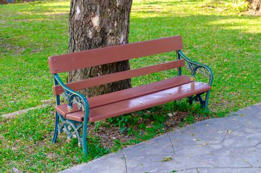 Ağacın altında Park ahşap Bank.