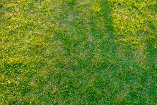 Background of a green grass with sunlight and shadow. — Stock Photo, Image