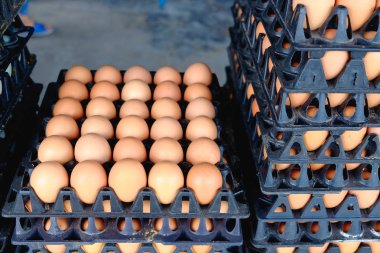 Satılık korunmuş paket tavuk çiftliğinde yumurta.