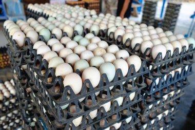 Ördek çiftliği Satılık korunmuş paket içinde yumurta.