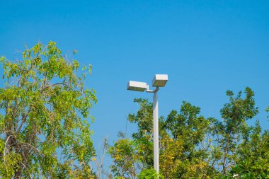 Mavi gökyüzü arka plan ve ağaç ile lamba sonrası Elektrik Sanayi