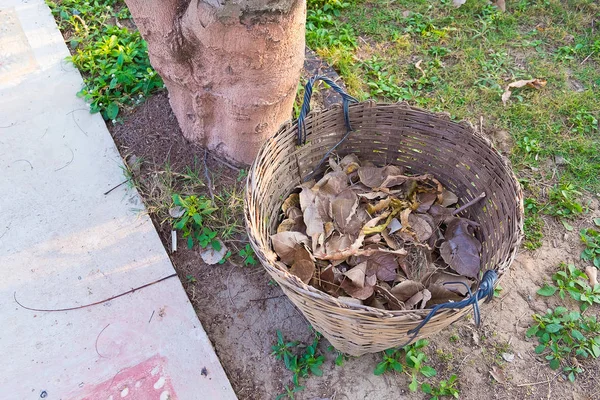 Плети корзину для мусора, мусорное ведро из бамбука, сотканное на траве — стоковое фото
