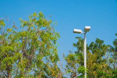 Mavi gökyüzü arka plan ve ağaç ile lamba sonrası Elektrik Sanayi