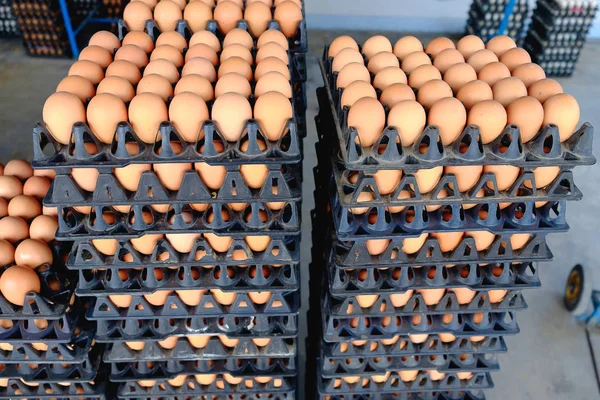 Tyúk gazdaságból a csomagban, hogy eladó tartósított tojás. — Stock Fotó