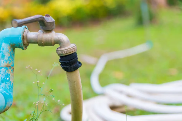 Gartenschlauch oder weißer Gummischlauch mit Wasserhahn auf dem Rasenplatz. — Stockfoto