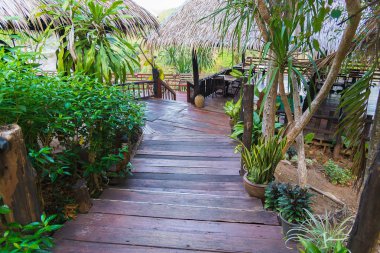 Adımları Bahçe, seçici odak eski ahşap merdiven.