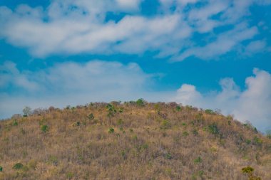 Ormandaki ağaçlar dağ arka planda VI ile yukarıda gökyüzü