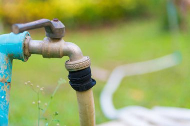 Bahçe hortumu veya çim sahası üzerinde musluk ile beyaz kauçuk tüp.