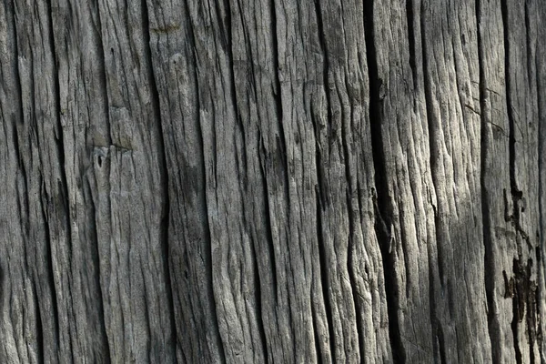 Primer plano de grunge fondo de madera oscura. textura de madera . —  Fotos de Stock