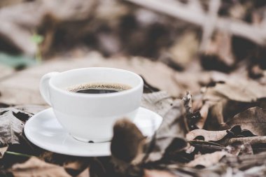 Beyaz fincan sıcak kahve kahverengi kuru yaprak doğa arka planda v