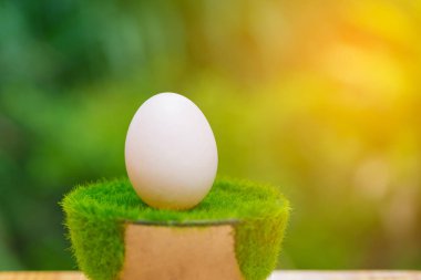 Beyaz yumurta tencerede yeşil ahşap tablo suni çim üzerinde