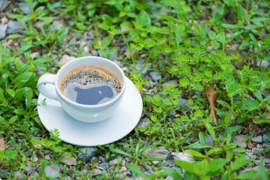 Sıcak kahve bitki yeşil doğa arka plan üzerinde beyaz fincan. sh