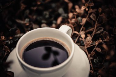 Sıcak kahve kuru bitki kahverengi doğa arka plan üzerinde beyaz fincan