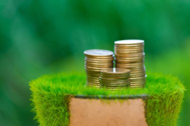 Yeşil doğa ile tencerede suni çim üzerinde altın sikke yığını