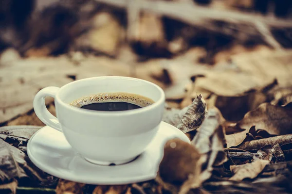 Beyaz fincan sıcak kahve kahverengi kuru yaprak doğa arka planda v