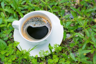 Sıcak kahve bitki yeşil doğa arka plan üzerinde beyaz fincan. sh