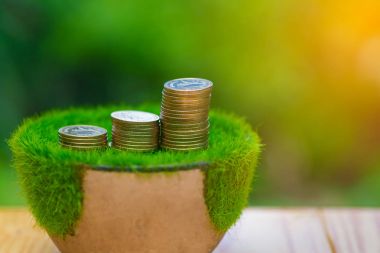 Tencerede, ahşap masa w suni çim üzerinde altın sikke yığını