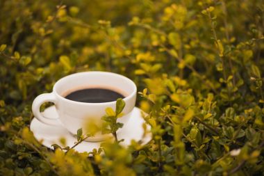 Sıcak kahve bitki yeşil doğa arka plan üzerinde beyaz fincan. sh