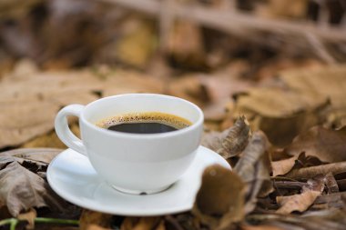 Beyaz fincan sıcak kahve kahverengi kuru yaprak doğa arka planda v