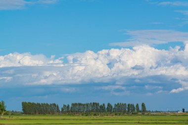 alan yeşil çim mavi gökyüzü bulut Clear peyzaj adam pilav