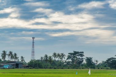 Pirinç çeltik alan telekomünikasyon kule. 