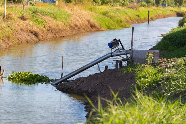Yasemin pirinç tarlaları motorlu su çiftçi pompa